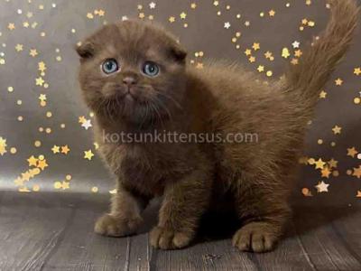 Photo of Milo