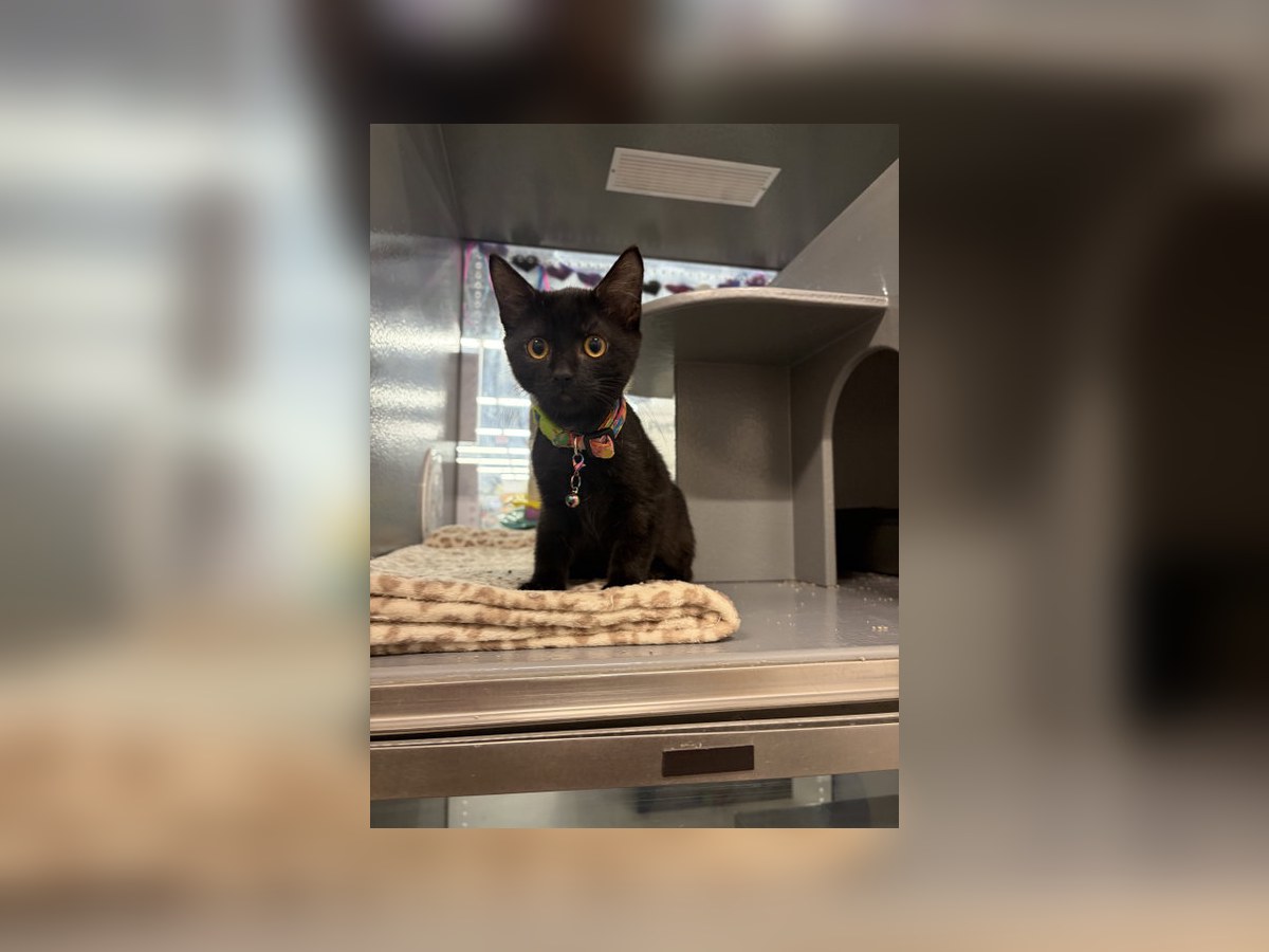 Photo of Esther