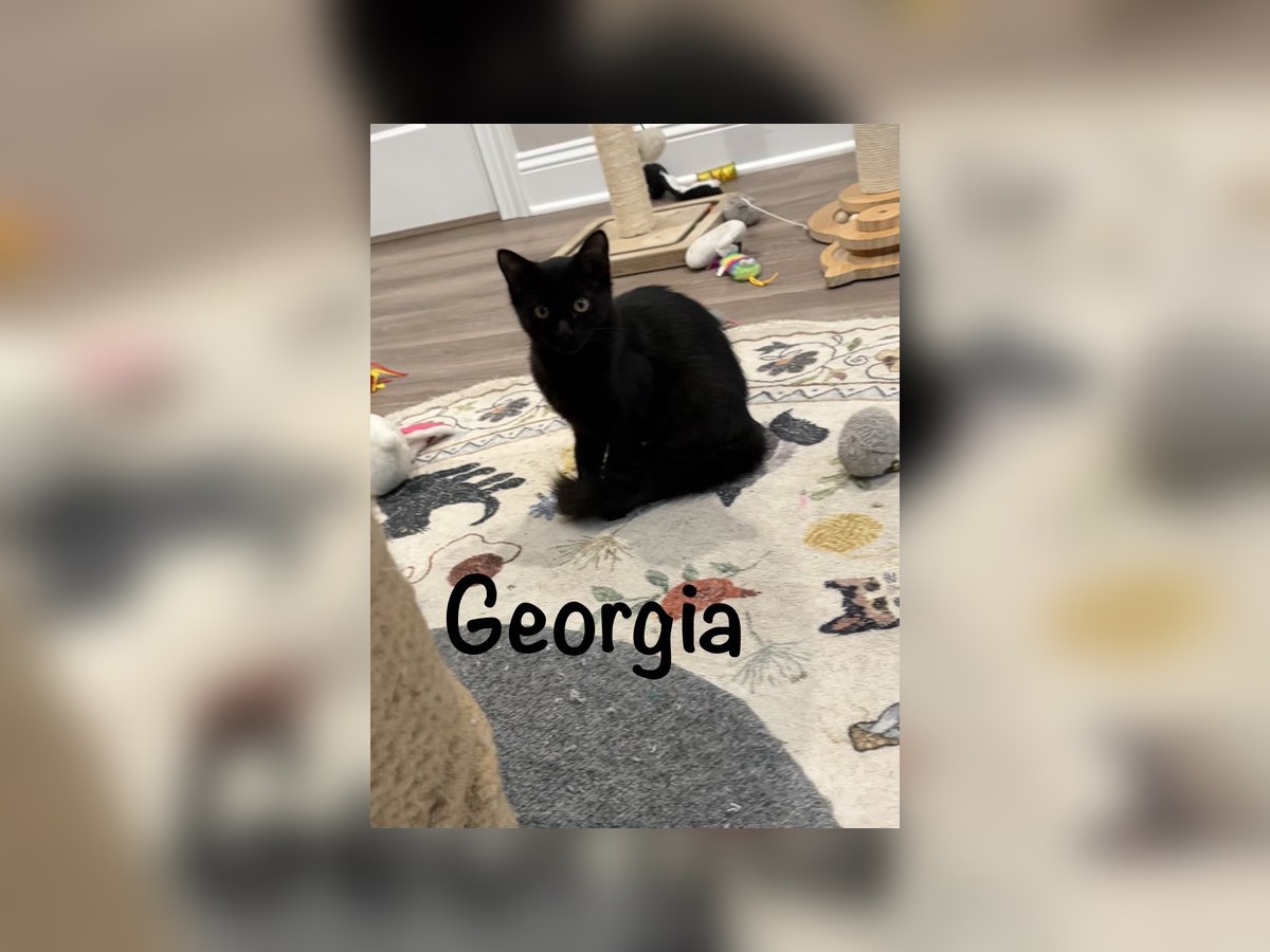 Photo of Georgia