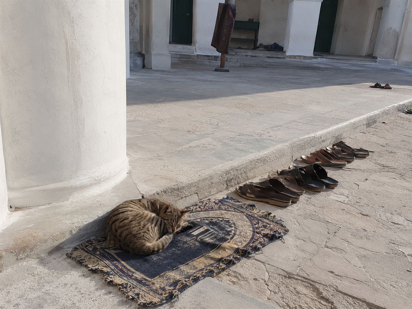 A cat resting peacefully inside the courtyard of an old mosque