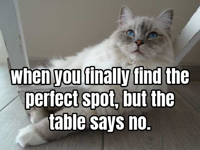 when you finally find the perfect spot, but the table says no.