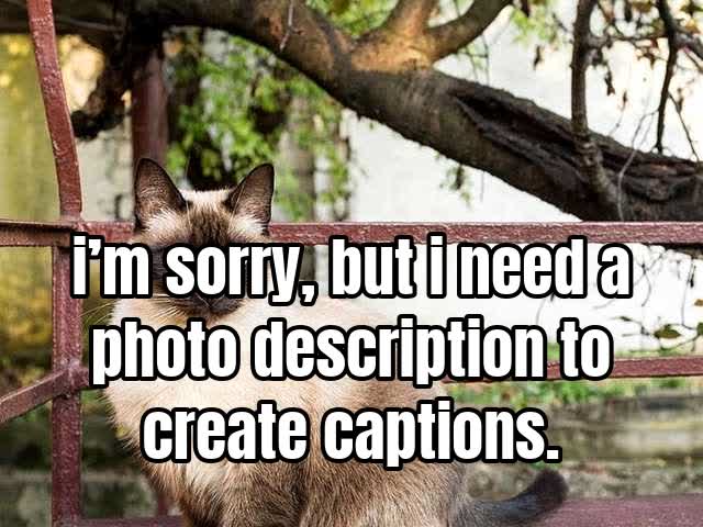 i’m sorry, but i need a photo description to create captions.