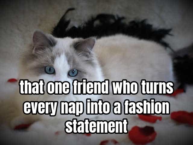 that one friend who turns every nap into a fashion statement