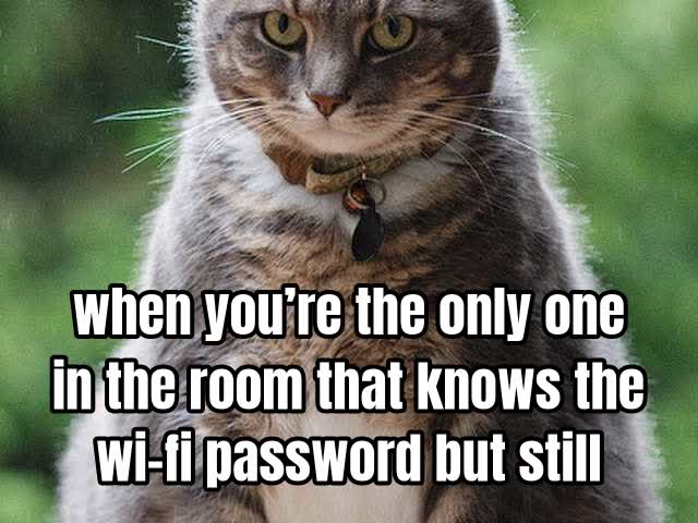 when you’re the only one in the room that knows the wi-fi password but still look seriou