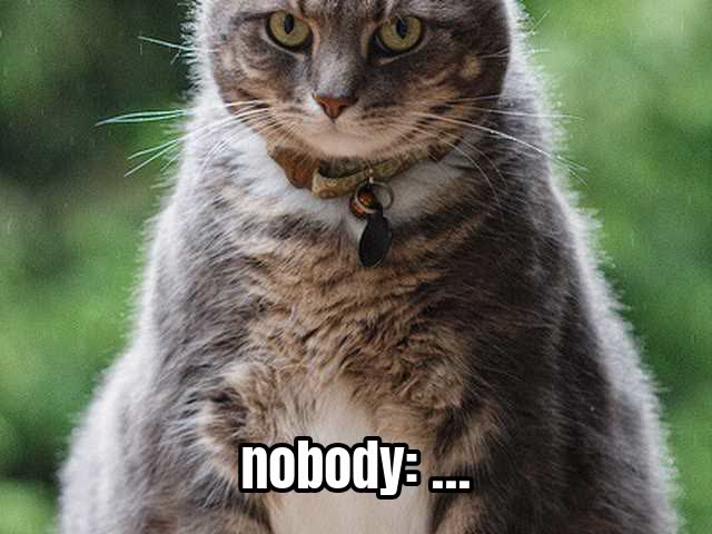 nobody: …