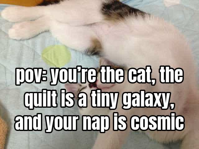 pov: you’re the cat, the quilt is a tiny galaxy, and your nap is cosmic