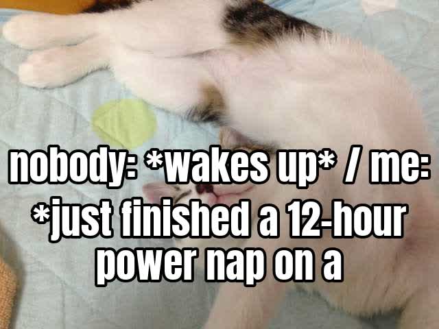 nobody: wakes up / me: just finished a 12‑hour power nap on a green‑circle blanket