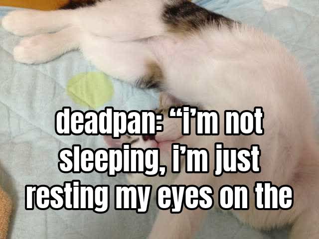 deadpan: “i’m not sleeping, i’m just resting my eyes on the quilt’s design.”
