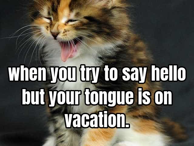 when you try to say hello but your tongue is on vacation.