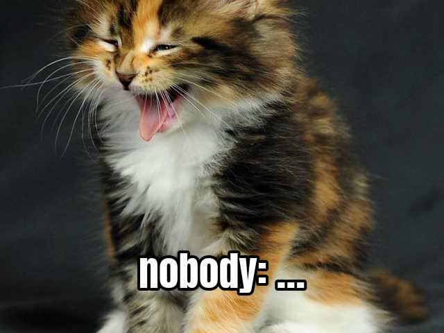 nobody: …