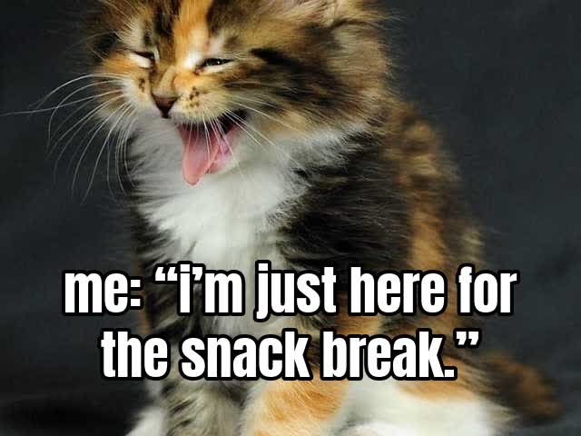 me: “i’m just here for the snack break.”