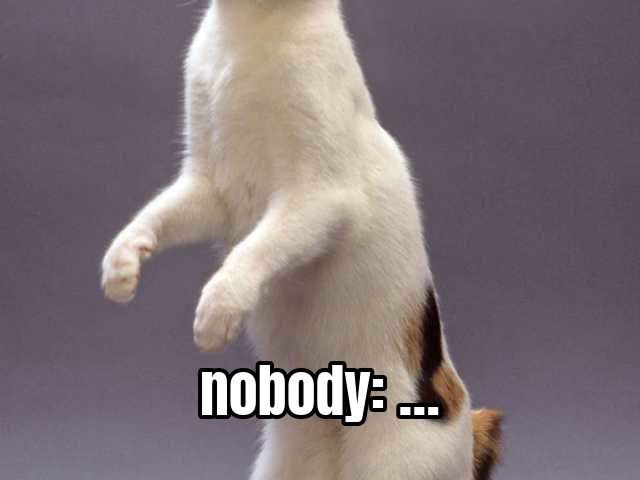 nobody: …