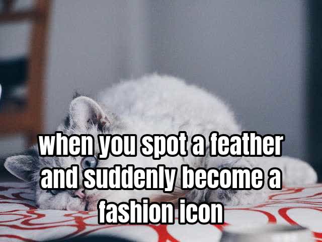 when you spot a feather and suddenly become a fashion icon