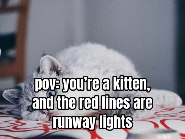 pov: you’re a kitten, and the red lines are runway lights