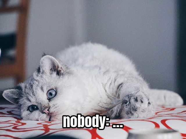 nobody: …