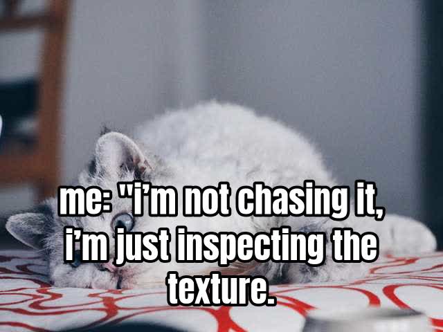 me: "i’m not chasing it, i’m just inspecting the texture.