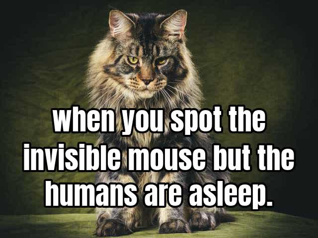 when you spot the invisible mouse but the humans are asleep.