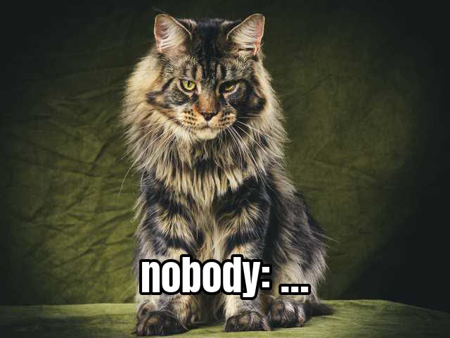 nobody: …
