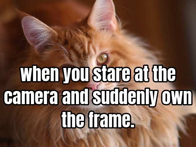 when you stare at the camera and suddenly own the frame.