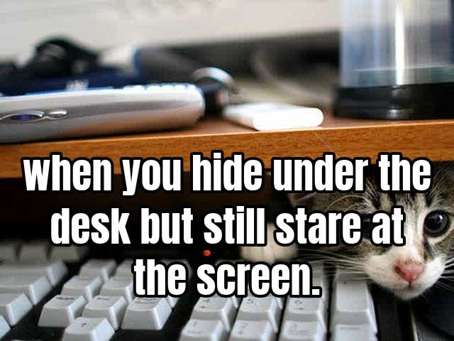 when you hide under the desk but still stare at the screen.
