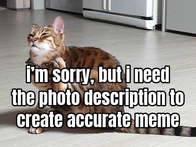 i’m sorry, but i need the photo description to create accurate meme captions.