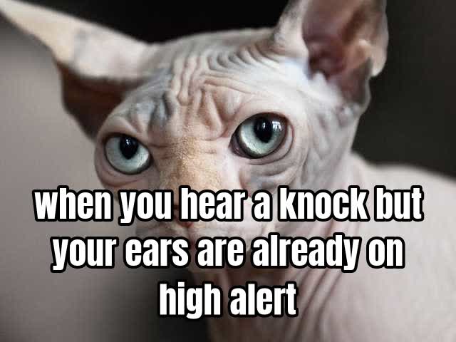 when you hear a knock but your ears are already on high alert
