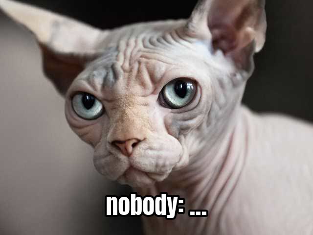 nobody: …