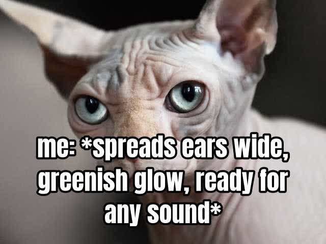 me: *spreads ears wide, greenish glow, ready for any sound*