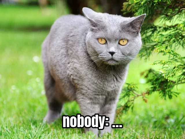 nobody: …