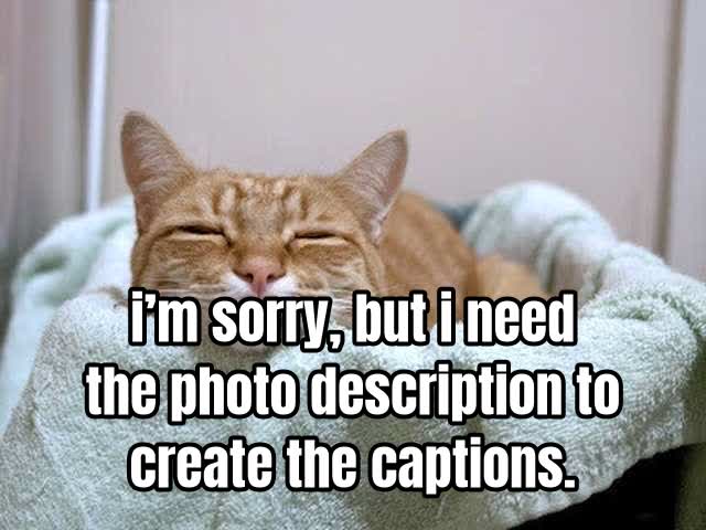 i’m sorry, but i need the photo description to create the captions.