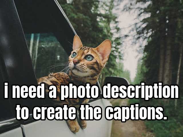i need a photo description to create the captions.