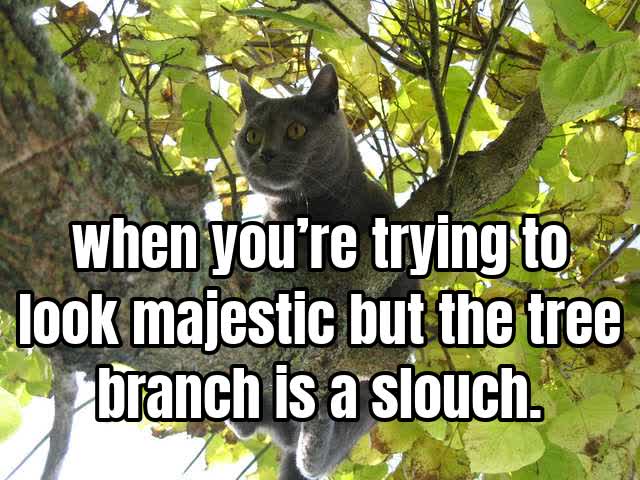 when you’re trying to look majestic but the tree branch is a slouch.