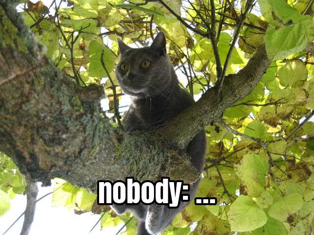 nobody: …