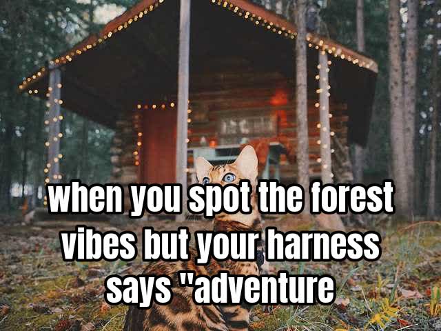 when you spot the forest vibes but your harness says "adventure