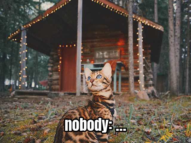 nobody: …