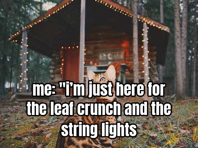 me: "i’m just here for the leaf crunch and the string lights