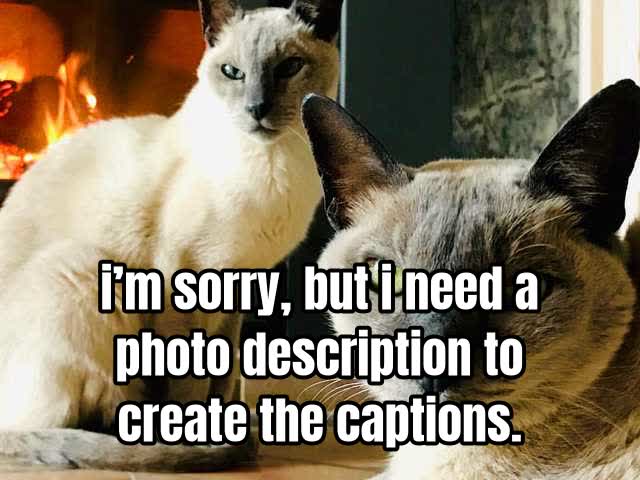 i’m sorry, but i need a photo description to create the captions.