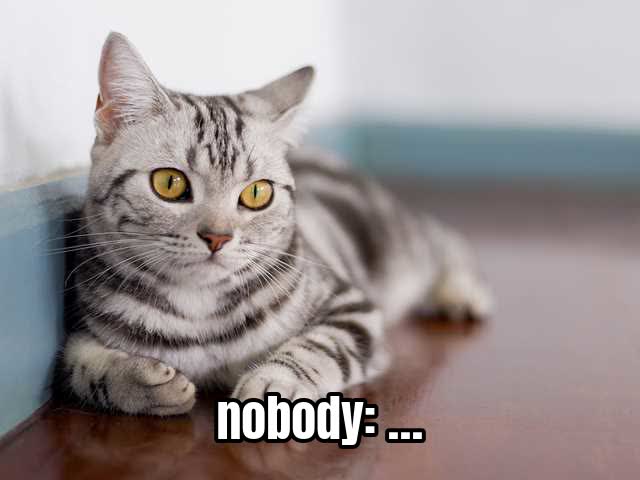 nobody: …