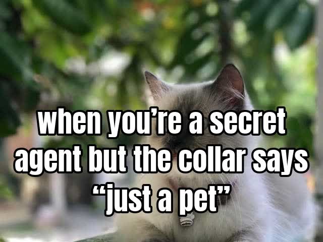 when you’re a secret agent but the collar says “just a pet”