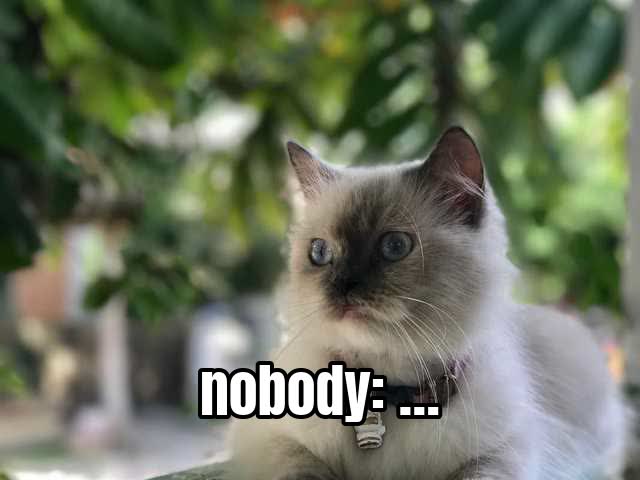 nobody: …