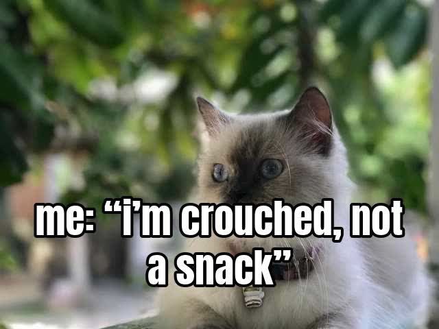 me: “i’m crouched, not a snack”