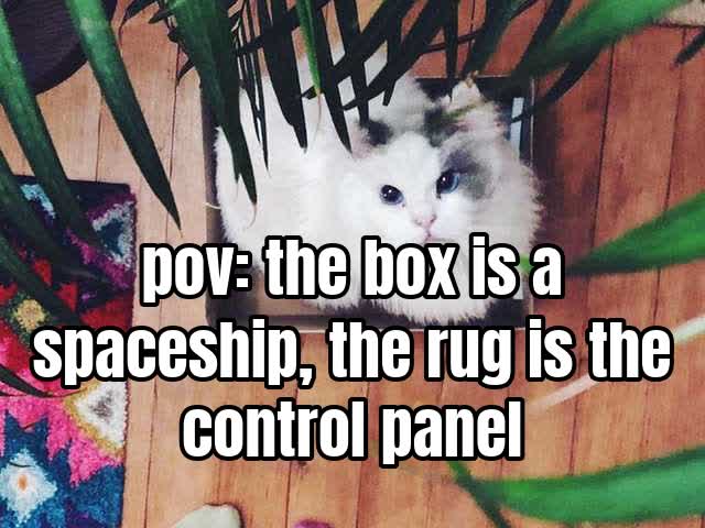 pov: the box is a spaceship, the rug is the control panel