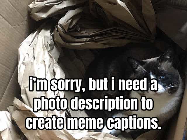 i’m sorry, but i need a photo description to create meme captions.