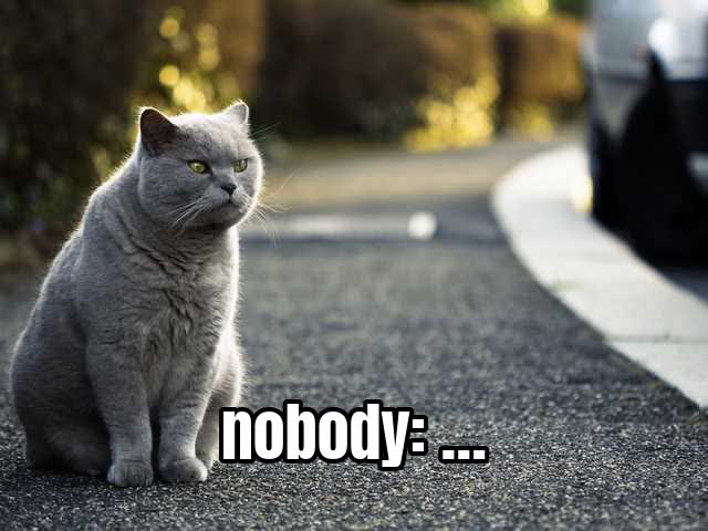nobody: …