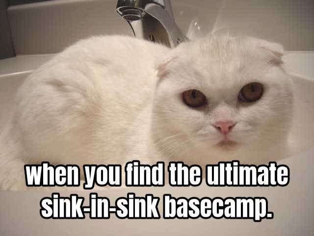 when you find the ultimate sink-in-sink basecamp.