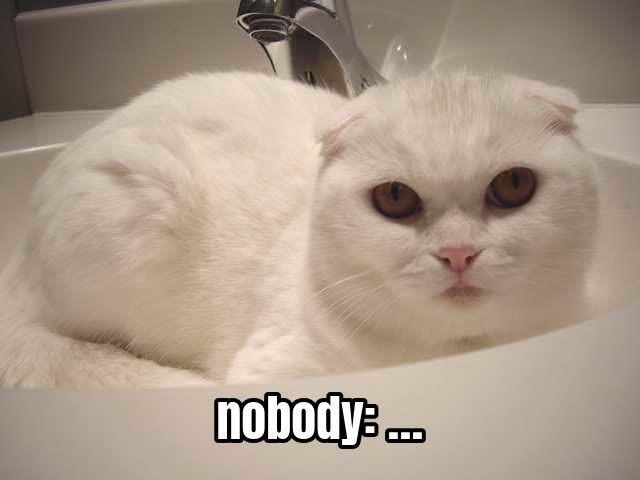 nobody: …