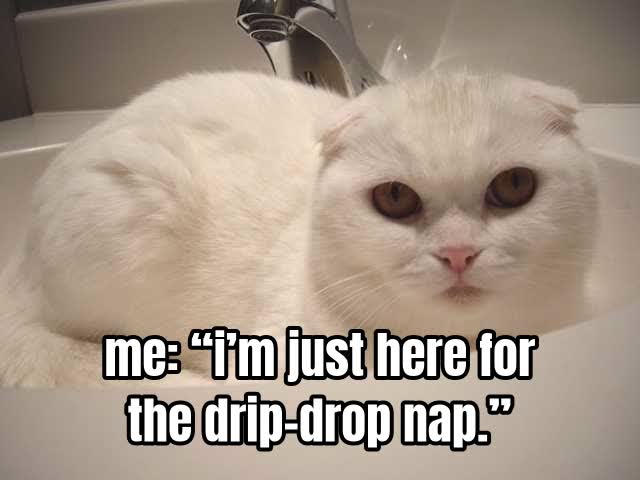 me: “i’m just here for the drip-drop nap.”