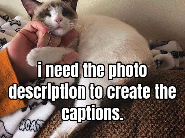 i need the photo description to create the captions.