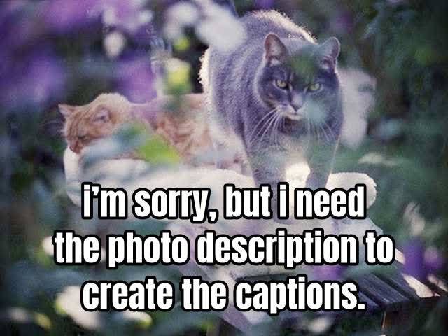 i’m sorry, but i need the photo description to create the captions.