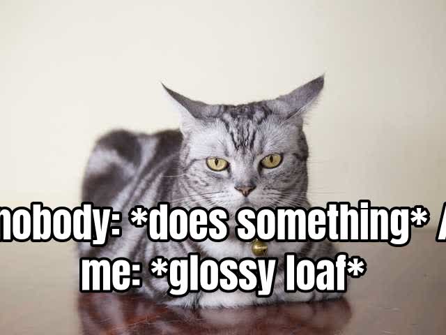 nobody: does something / me: glossy loaf